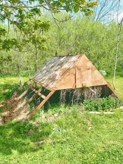 coop for sale, View more