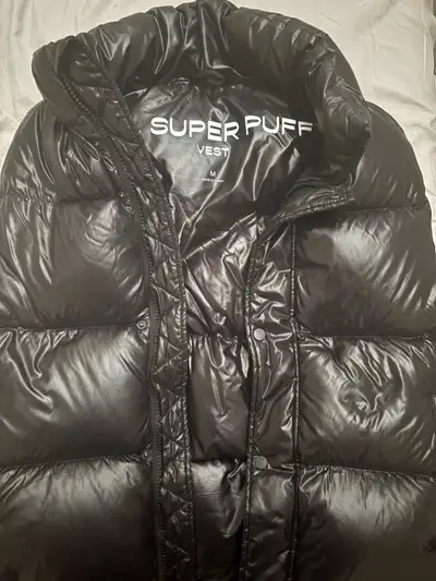 Mr. Super puff vest Aritzia, View more