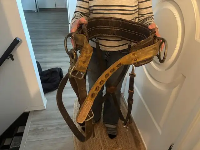 Pole Climbing belt and spurs in Other in Strathcona County - Image 2
