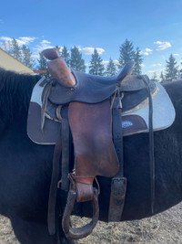 Older model wade saddle 