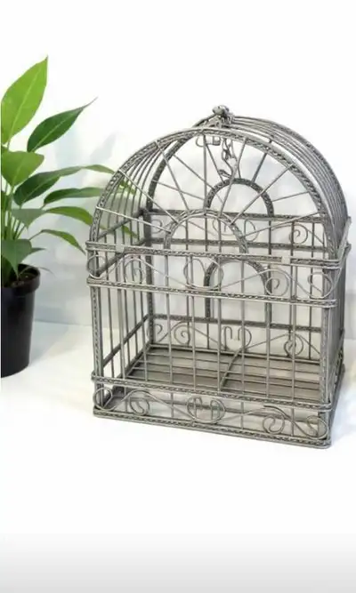 Here is in great shape near mint condition bird cage/plant holder you could use it for whichever one...