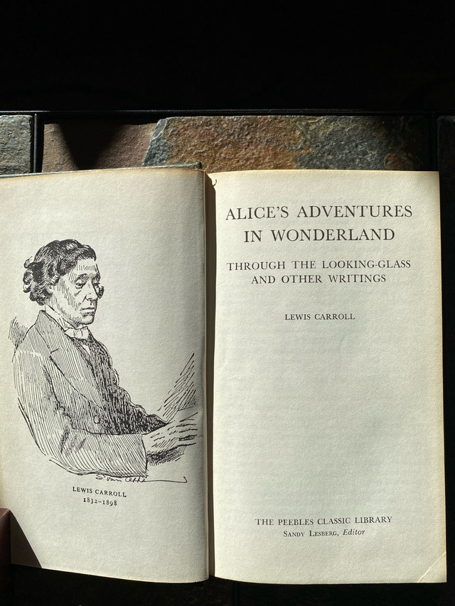 Alice in Wonderland by Lewis Carroll in Fiction in Edmonton - Image 3