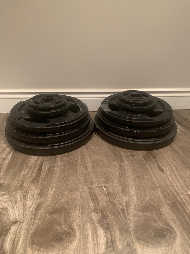 Cast Iron Weight Plates in Exercise Equipment in London