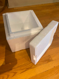Styrofoam box 12 x 12 inches aprox