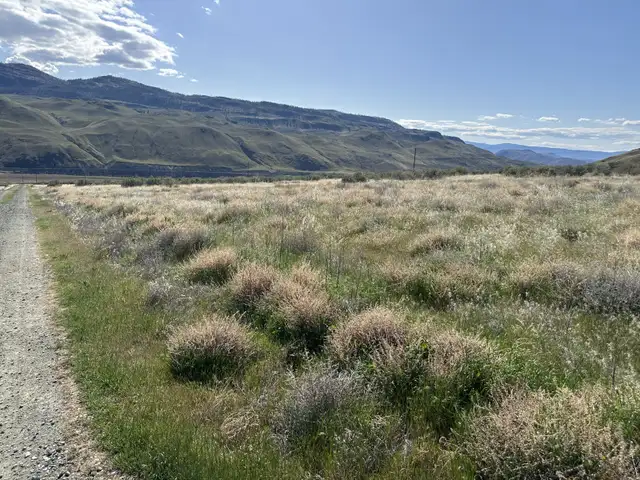 7 VIEW Acreages For Sale 32 Mins W of Kamloops 8, 10, 81 Acres in Land for Sale in Kamloops - Image 11