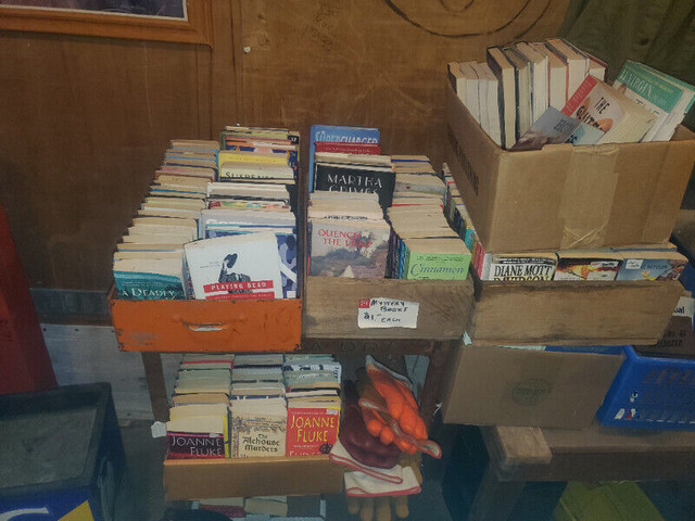 Huge Lot of Cozy Mystery Books in Fiction in Edmonton