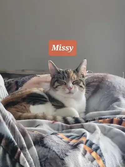 2 sisters To Rehome Together!, View more