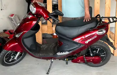 2023 electric bike Barely used Max speed 35km/hr Comes with bucket at the back Very reliable NO LICE...