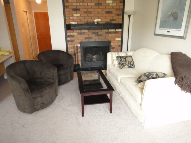 Condo St Albert for Sale near Edmonton-will HELP w DOWN PAYMENT in Condos for Sale in Edmonton - Image 3