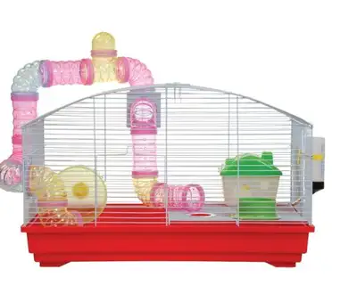 black bear hamster for sale comes with full cage food and bedding