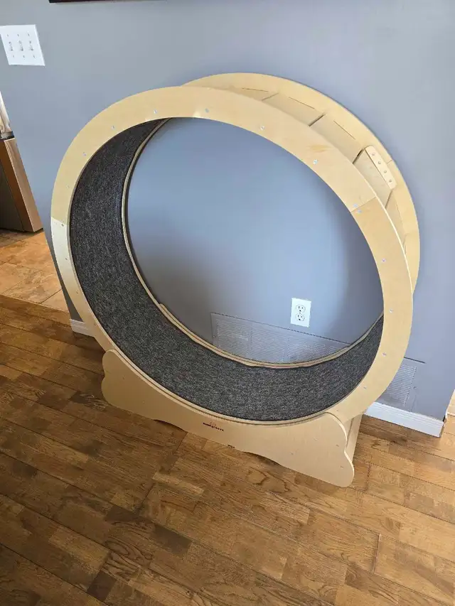 Cat Wheel/Treadmill in Accessories in Kingston - Image 2