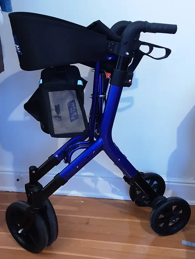 Walker in excellent condition64634280560643120