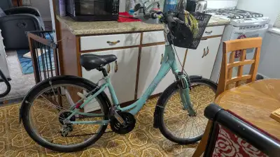 Liv Giant Bike, View more