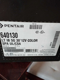 Pentair 640130 30' 12v Intellibrite Spa Light 