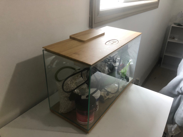 3 gallon fish tank in Fish for Rehoming in Kitchener / Waterloo