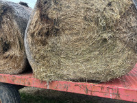 2023 1st cut hay for sale 