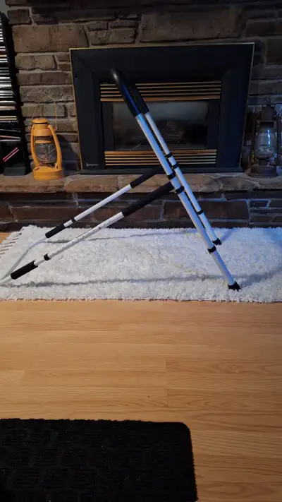 Adjustable Bed Rail with Legs, View more