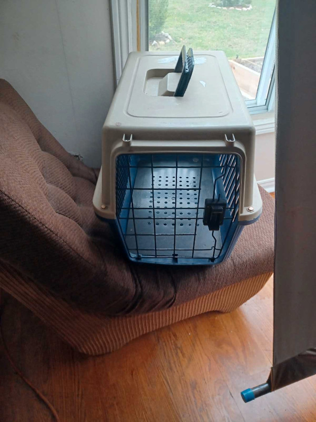 Dog cage in Animal & Pet Services in Hamilton