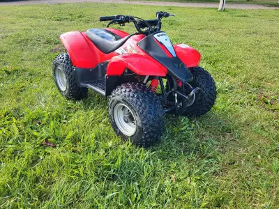 Suzuki Quadsport 50cc 2 stroke, oil injection, no need to mix fuel. Well maintained and runs strong....