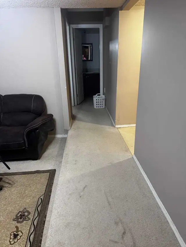 Basement suite for rent in Pineridge NE