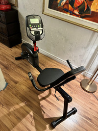 Schwinn A20 Recumbent bike