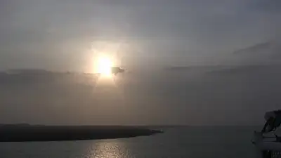 Create digital backup of your home movies, all formats can be digitized including VHS, 8mm regular a...