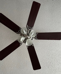 Ceiling fan with light 