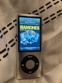 Silver Apple iPod Nano 5th Generation 16GB A1320 MP3 Player