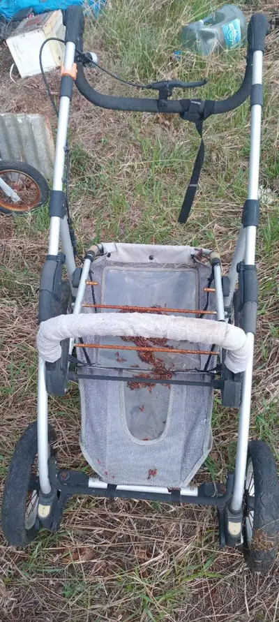 stroller , quinny, View more