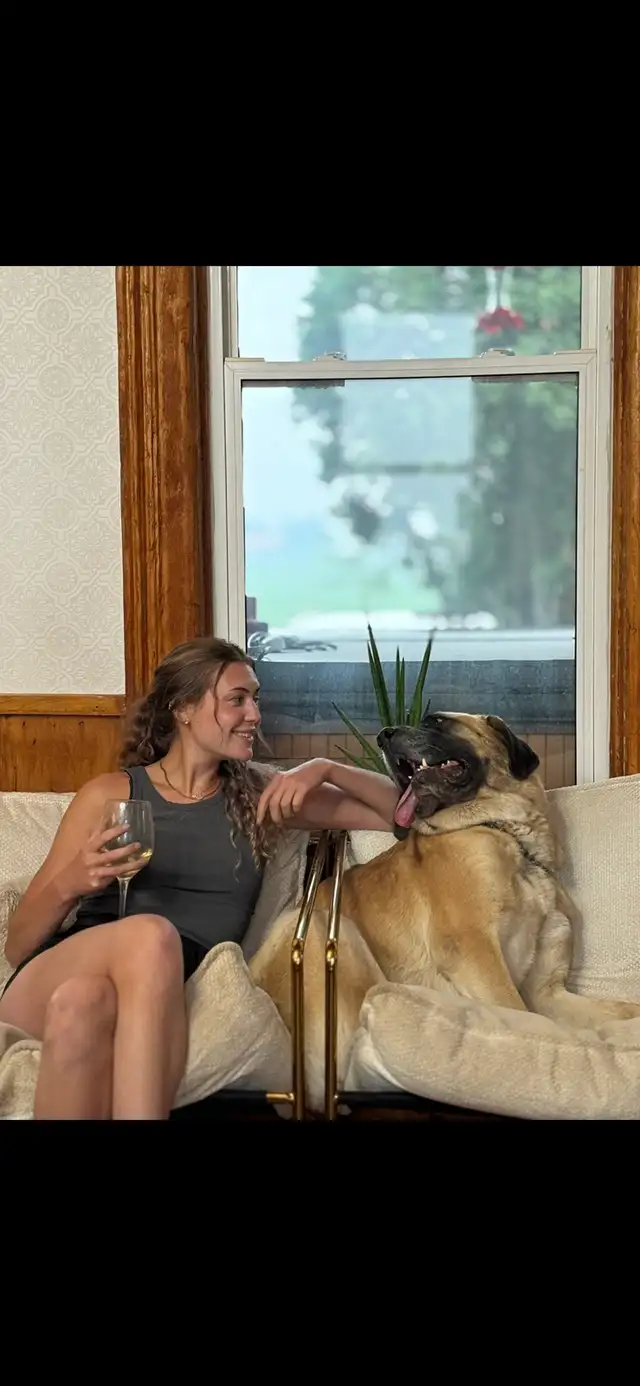 *RESCUE Mastiff*