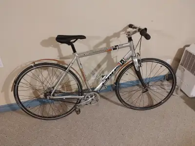 Opus Belcanto city bicycle (lg 20.5" frame), View more
