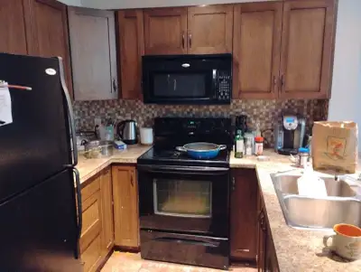 Shared condo male businessman, Modern fully furnished 2br one full bath 800sqt with balcony BBQ. All...