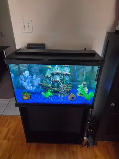 Aquarium 29 gallons + meuble + décoration  + poisson, View more