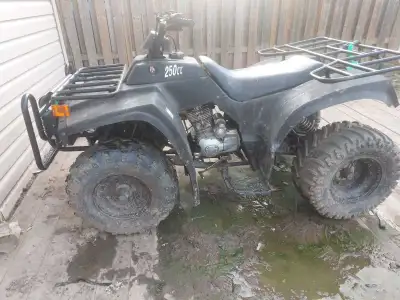 250 semi auto has reverse to big for my kids
