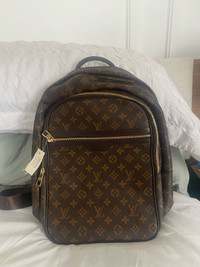 Louis Vuitton back pack