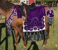 Traditional Arabian Horse Native Costume