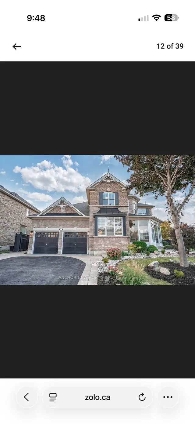 Single Room  or whole basement for rent