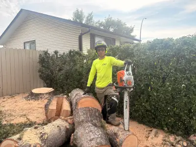 PROFESSIONAL TREE SERVICES – SAFE, RELIABLE & AFFORDABLE, View more