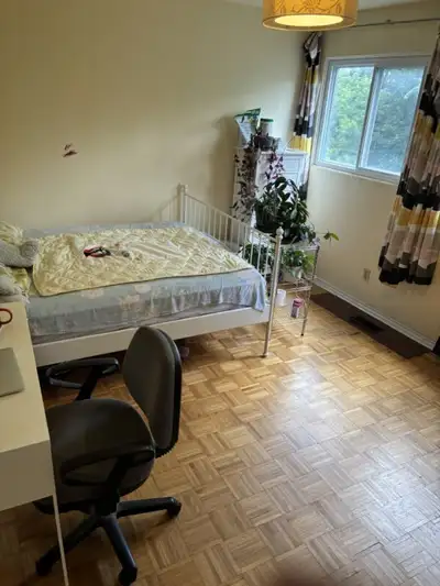One huge, bright, master bedroom for rent.