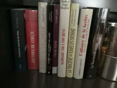 8 livres romans le lot 15$, View more