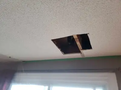 DURHAM R.POPCORN CEILING REPAIR..., View more