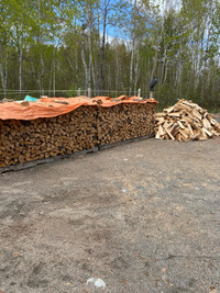 Bags and cords dry  firewood 