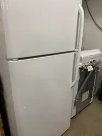 Frost free fridge