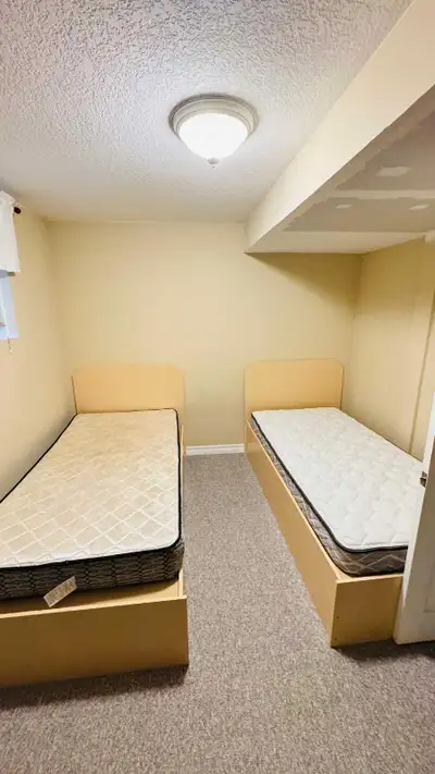 Room available for rent on sharing or private in a walkout basement. Shared kitchen and living room....