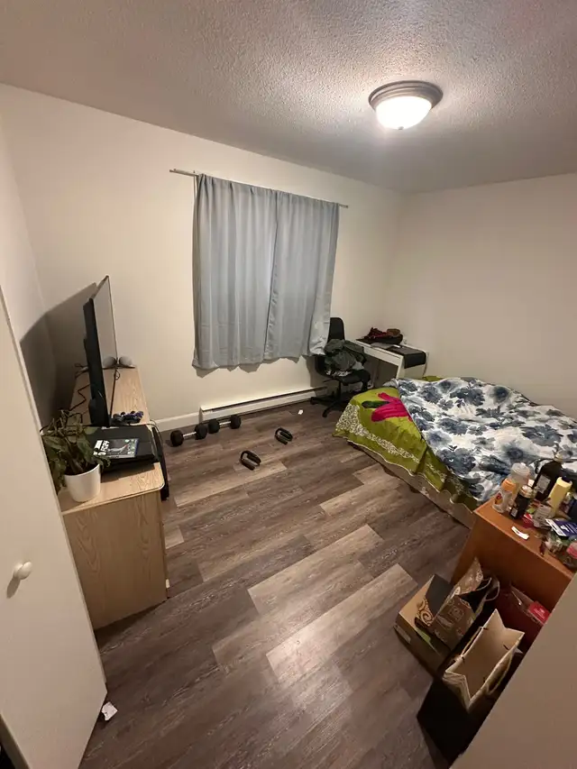 Private Room for Rent – Female Only | Waterloo 63838172711427122