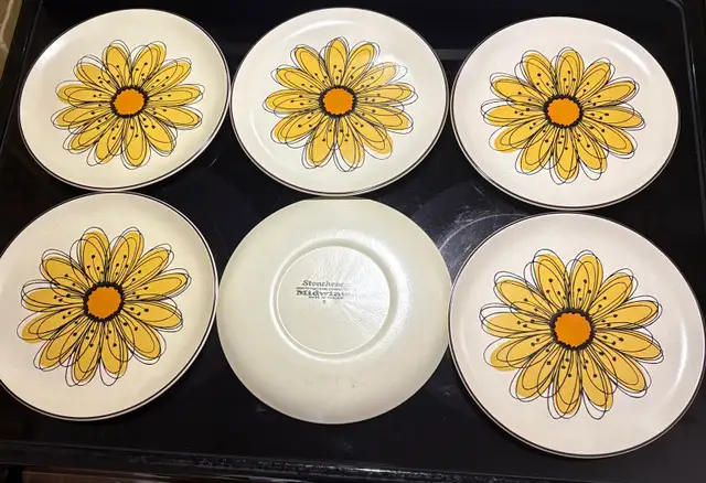 Midwinter Stonehenge Flowersong Dinnerware Set529387819044055044