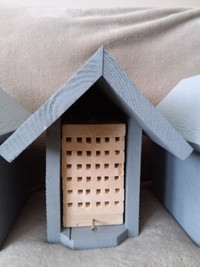 Mason Bee Houses & 20 Cocoons