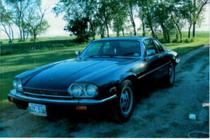 1986 Jaguar XJ12 chrome strip