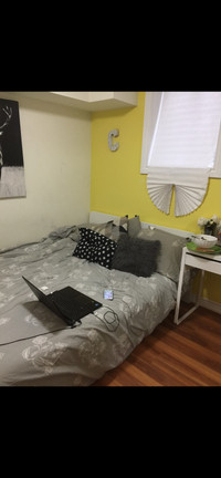 (1) Bedroom basement for rent for single/ young professionals 