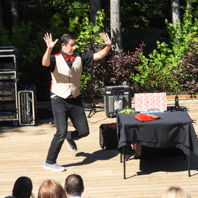 The Marvellous Magician - Children's Comedy-Magic at its Finest! in Entertainment in Barrie - Image 4